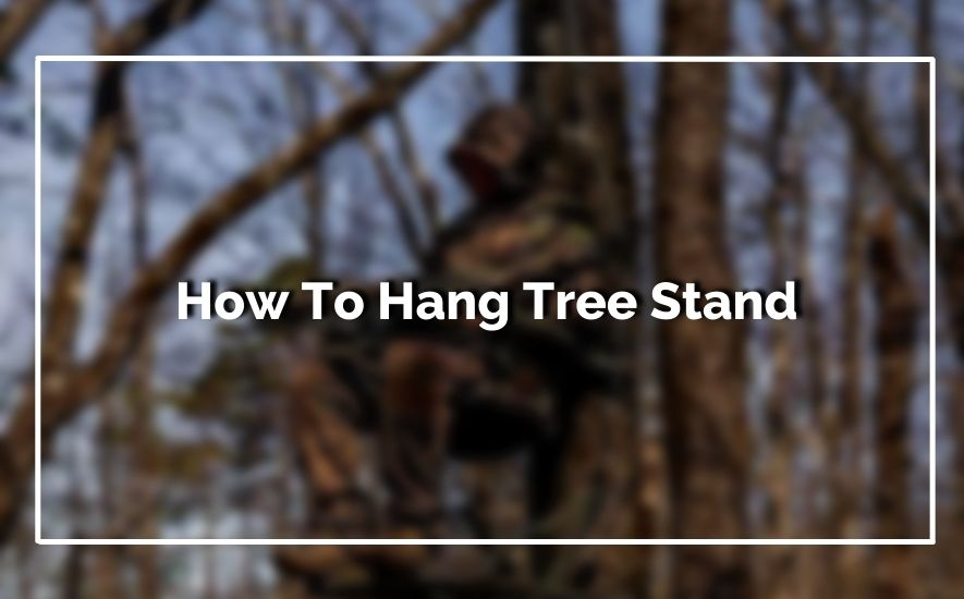 How To Hang Tree Stand