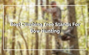 Best Climbing Tree Stands For Bow Hunting