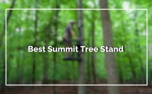 Best Summit Tree Stand